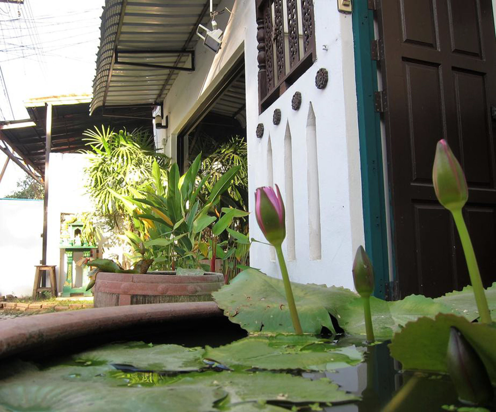 V Lodge Chiang Mai Exterior foto